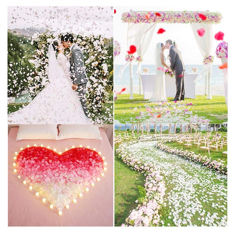 KnR Harmony Rose Petals Ivory 1200pcs Fake Flower Petals Artificial Silk Rose Petals for Girl Wedding Table Centerpieces Romantic Night Valentine's Day Birthday Party Decoration - Image 4
